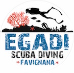 Isola di Favignana egadi Scuba Diving Favignan